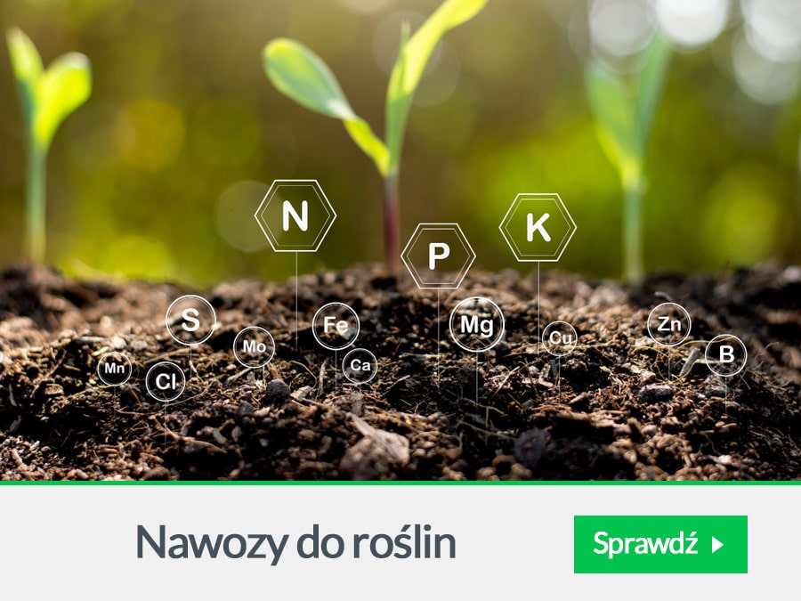 Nawozy